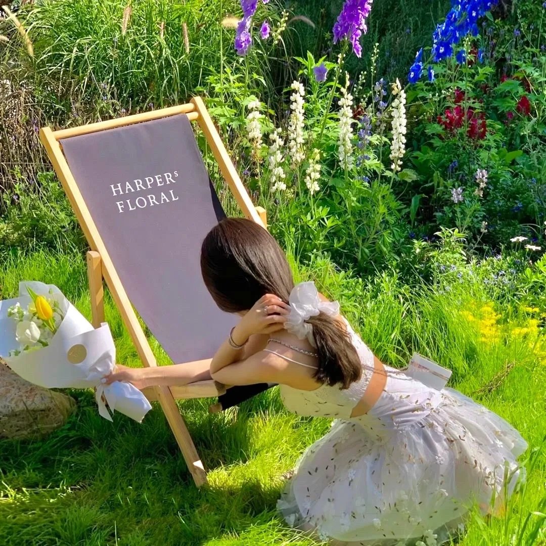 什么也不是的爱恋